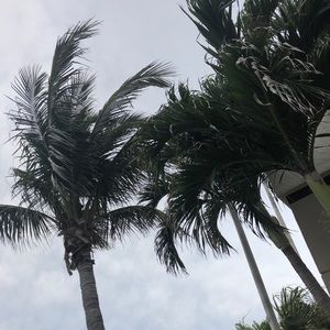 Meet your Posher, Keira